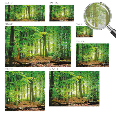 Fototapeta za dnevni boravak s motivom zelene šume