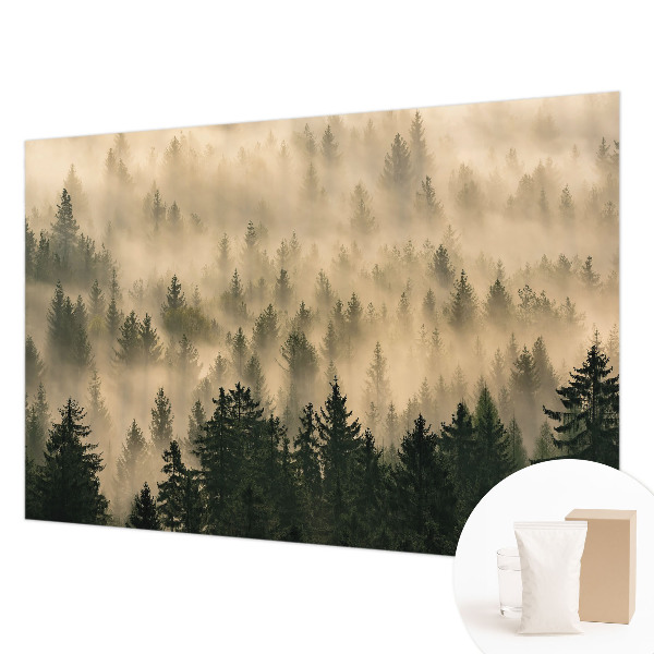 Premium fototapeta s motivom šumske magle
