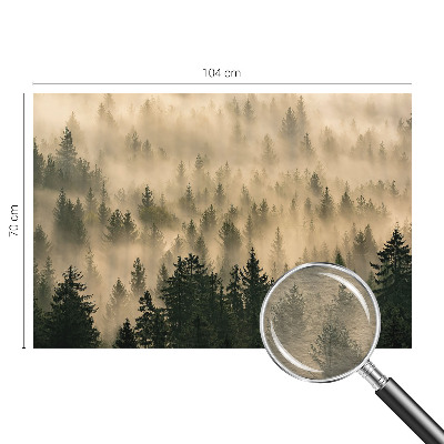 Premium fototapeta s motivom šumske magle