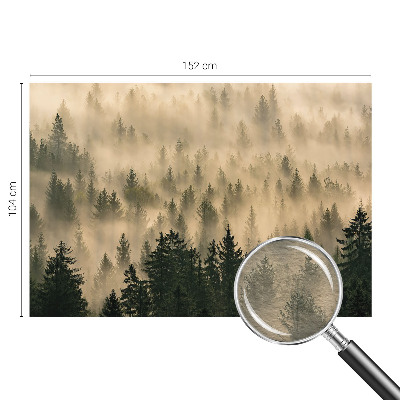 Premium fototapeta s motivom šumske magle