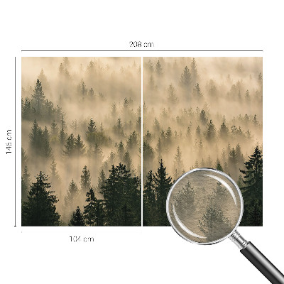 Premium fototapeta s motivom šumske magle