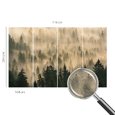 Premium fototapeta s motivom šumske magle