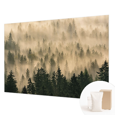 Premium fototapeta s motivom šumske magle