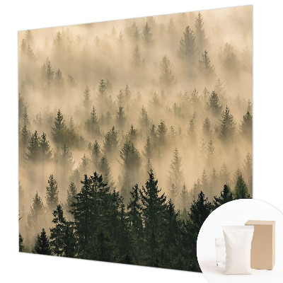 Premium fototapeta s motivom šumske magle