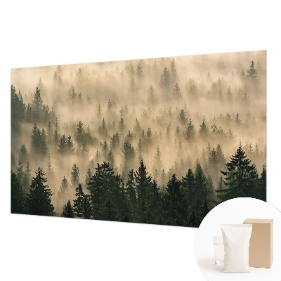 Premium fototapeta s motivom šumske magle