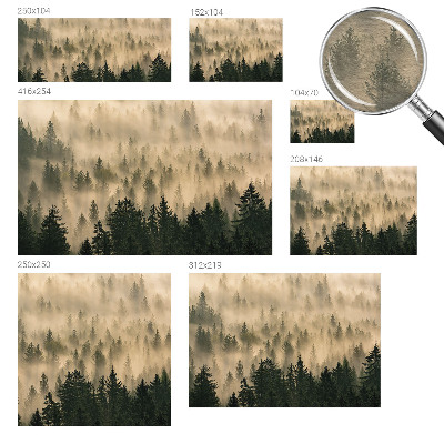 Premium fototapeta s motivom šumske magle