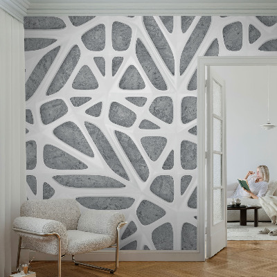 Fototapeta s tiskom Geometrijska mreža