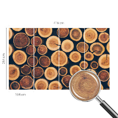 Premium fototapeta Drveni krugovi