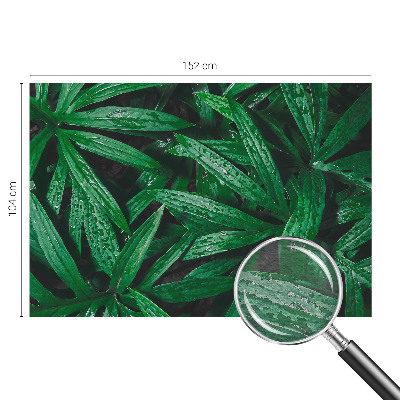 Fototapeta za dnevni boravak s motivom prirodnog zelenila
