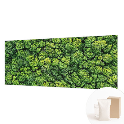 Foto tapeta po mjeri s motivom šumske panorame po mjeri
