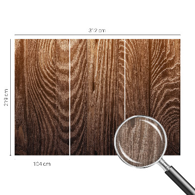 Fototapeta s tiskom Drveni prstenovi