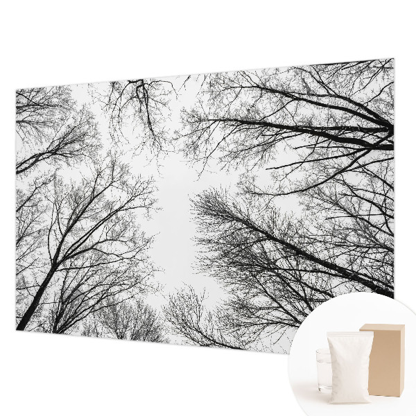 Foto tapeta za spavaću sobu s motivom golih grana