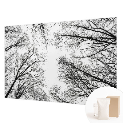 Foto tapeta za spavaću sobu s motivom golih grana