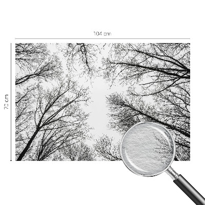 Foto tapeta za spavaću sobu s motivom golih grana