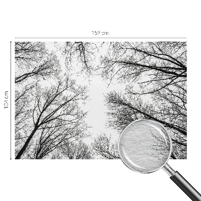 Foto tapeta za spavaću sobu s motivom golih grana