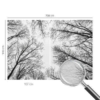 Foto tapeta za spavaću sobu s motivom golih grana