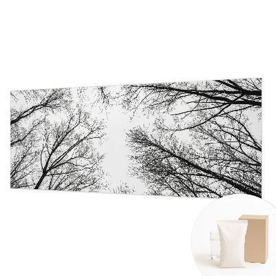 Foto tapeta za spavaću sobu s motivom golih grana