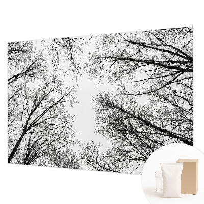 Foto tapeta za spavaću sobu s motivom golih grana