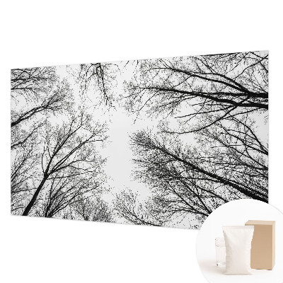 Foto tapeta za spavaću sobu s motivom golih grana