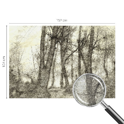 Vlies fototapeta s motivom 'Šumska melankolija'