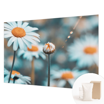 Fototapeta s tiskom s motivom delikatese od kamilice