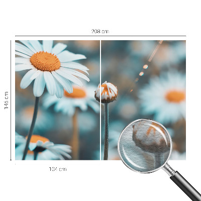 Fototapeta s tiskom s motivom delikatese od kamilice