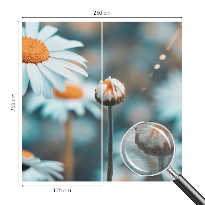 Fototapeta s tiskom s motivom delikatese od kamilice