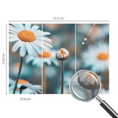 Fototapeta s tiskom s motivom delikatese od kamilice