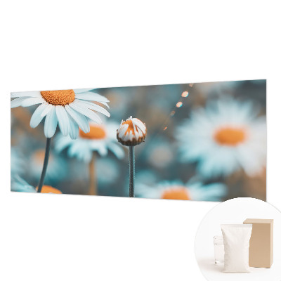 Fototapeta s tiskom s motivom delikatese od kamilice