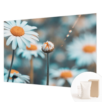 Fototapeta s tiskom s motivom delikatese od kamilice