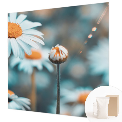 Fototapeta s tiskom s motivom delikatese od kamilice