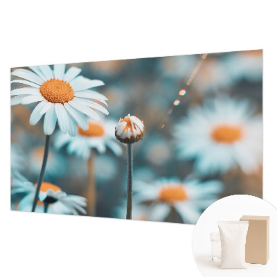 Fototapeta s tiskom s motivom delikatese od kamilice