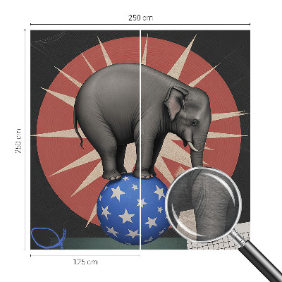 Foto tapeta po mjeri Cirkuski slon