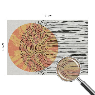 Zidna fototapeta s motivom kruga s linijama