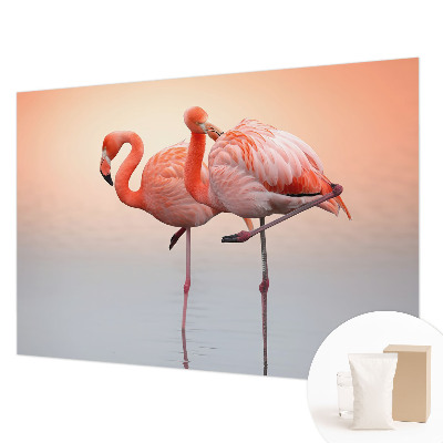 Foto tapeta za spavaću sobu s motivom nježnih flamingosa