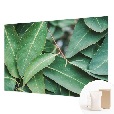 Visokokvalitetna fototapeta s motivom zelenog lišća