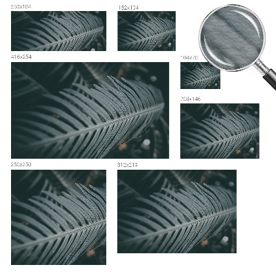 Flis fototapeta Zeleni list