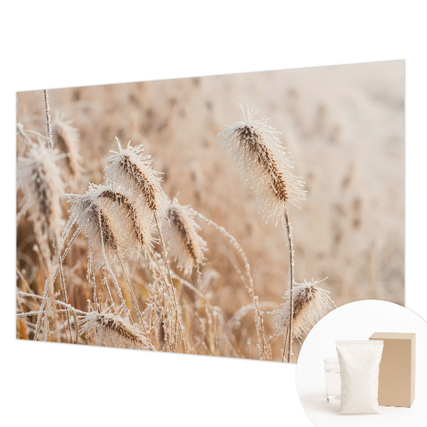 Fototapeta za zid s motivom zimskog krajolika