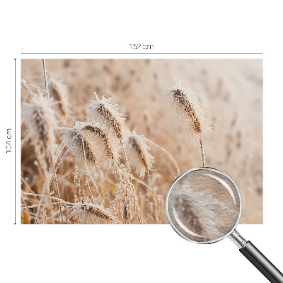 Fototapeta za zid s motivom zimskog krajolika