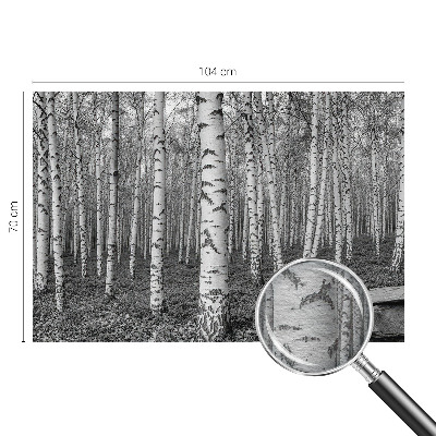 Foto tapeta za dnevni boravak s motivom breze u obliku šumske ilustracije