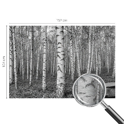 Foto tapeta za dnevni boravak s motivom breze u obliku šumske ilustracije