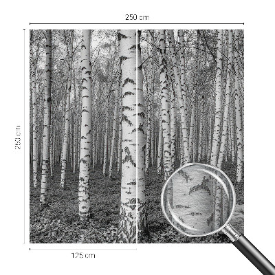 Foto tapeta za dnevni boravak s motivom breze u obliku šumske ilustracije