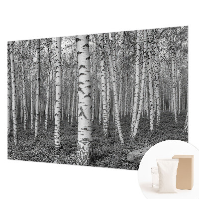 Foto tapeta za dnevni boravak s motivom breze u obliku šumske ilustracije