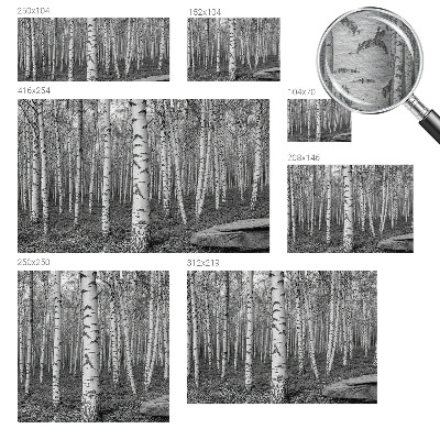 Foto tapeta za dnevni boravak s motivom breze u obliku šumske ilustracije