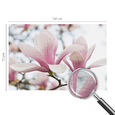 Fototapeta s tiskom s motivom cvjetova magnolije