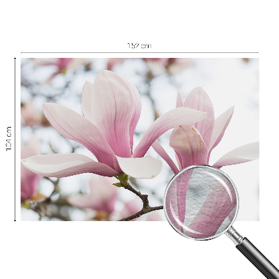 Fototapeta s tiskom s motivom cvjetova magnolije
