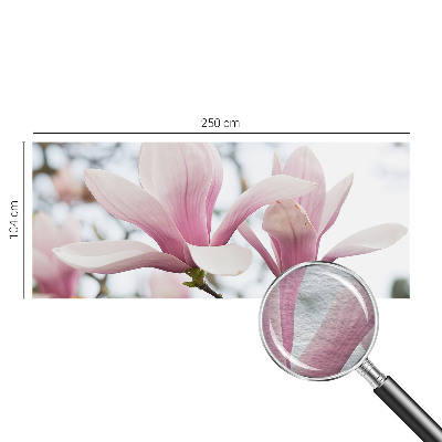 Fototapeta s tiskom s motivom cvjetova magnolije