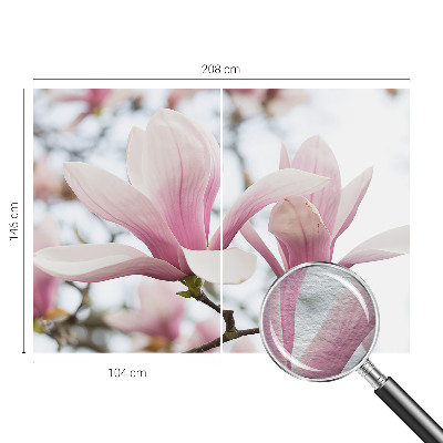 Fototapeta s tiskom s motivom cvjetova magnolije