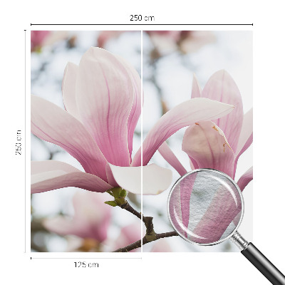 Fototapeta s tiskom s motivom cvjetova magnolije