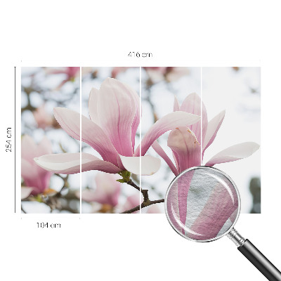 Fototapeta s tiskom s motivom cvjetova magnolije